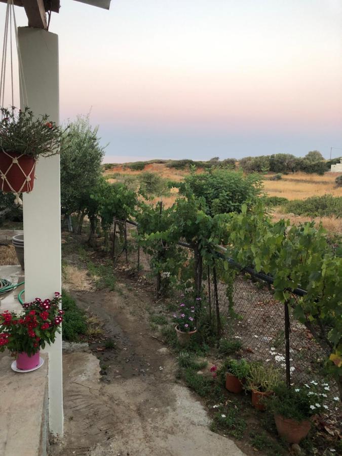 Ambelakia Bungalow Monemvasía Dış mekan fotoğraf