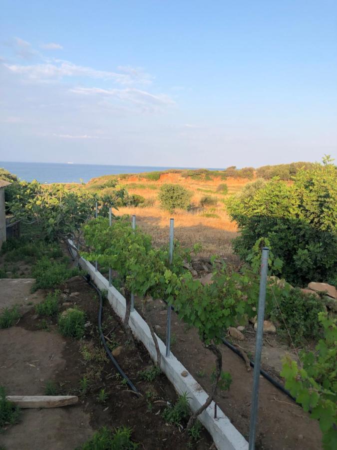 Ambelakia Bungalow Monemvasía Dış mekan fotoğraf